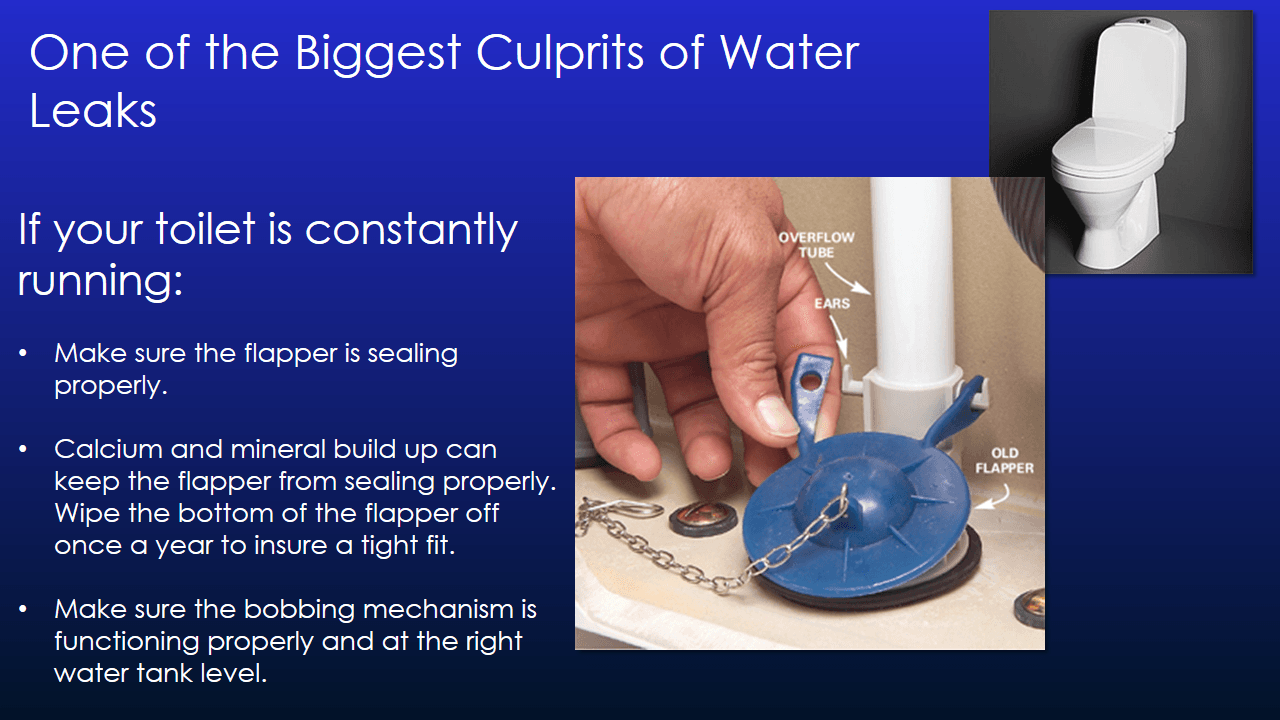 Water Conservation Presentation - Slide 9